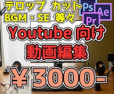 youtube向け動画の編集をします イメージ1