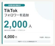 20日【減少保証付き】フォロワーを増やします イメージ1