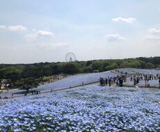 ありとあらゆる愚痴悩み相談を聞きます イメージ1