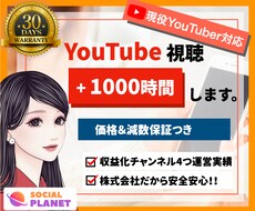 YouTubeの再生時間+1000時間します 1分でもOK！現役YouTuberが実施。モニター残り6枠