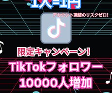 TikTokフォロワー10000人増加させます イメージ1