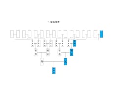 行政書士が戸籍調査をし、家系図を作成します あなたのルーツをたどってみませんか？
