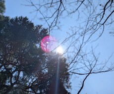 不安な気持ちを優しく読み解きます イメージ1