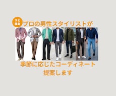 リピ限定｜季節に応じた服装コーディネート提案します あなたの骨格診断・顔タイプ診断結果に基づいた着回しコーデ