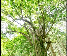 大切な人を亡くしたお気持ちに寄り添います イメージ1