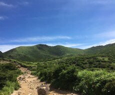 大分県についてのご質問やご依頼を承ります イメージ1