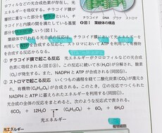 生物基礎、化学基礎を分かりやすく教えます イメージ1