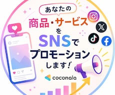 あなたの商品サービスをSNSでプロモーションします イメージ1
