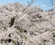 あなたの恋のお悩み聞きます イメージ1