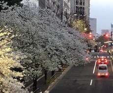 恋愛の悩み秘密の関係複雑恋愛などお話しお聞きします イメージ1
