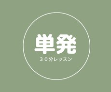 for beginnerレベル別英語レッスンします イメージ1