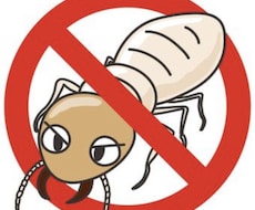 害虫に関すること何でも相談受け付けます イメージ1