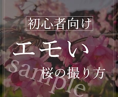 画像への文字入れ加工10枚から対応します Instagramやブログなどにお使いいただけます