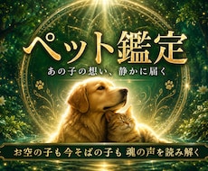 天啓ペット霊視 | 愛するペット様の想いを伝えます 大切な我が子の言葉にできないあなたの願いを受け取りお伝えする