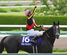 競馬予想になります