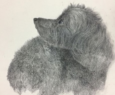 貴方の大切な家族の一員を描きます イメージ1