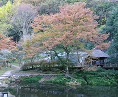 タロットで知りたいこと占います イメージ1