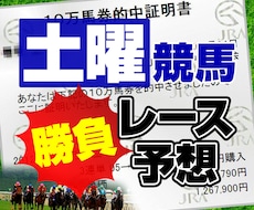 中央競馬予想の土曜日の厳選レースの予想をします
