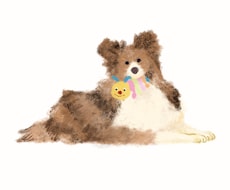 うちの子(ペット)のイラストをゆるく描きあげます イメージ1
