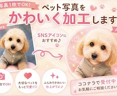 ペットの写真を可愛くSNSアイコン用に加工します イメージ1