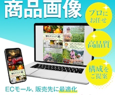 マーケティング要素を落とし込んだ画像を作成します ECのプロがあなたの商品の訴求ポイントやブランド感を伝えます