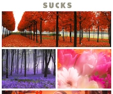秋の紅葉と癒される画像にします イメージ1