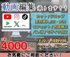 Youtube,SNS等の動画編集致します