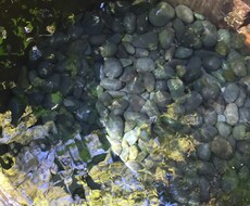 お試し価格⭐︎元気になるアドバイスします イメージ1