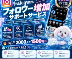 インスタのフォロワー2000人増やします イメージ1