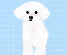 手書きイラストつくります イメージ1