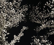 恋愛・愚痴OK！どんな悩みでも聞きます イメージ1
