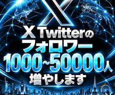 旧Twitter/X フォロワー増加させます イメージ1