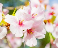 生きててえらい！貴方のことをメチャメチャ褒めます イメージ1