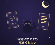 猫飼いオタクが占います 猫飼いオタクの易経またはタロット占い