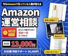Amazon出品・広告の相談に60分で答えます 現役セラーがあなたの数字を見て次の一手を提案｜初心者OK