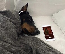 あなたに寄り添います イメージ1