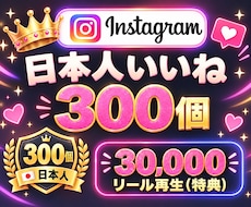 Instagram✦日本人いいね300個増加します イメージ1