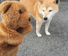 3分でも♡あなたのお話、何でもお聞きします 3分でも長電話でも、気軽におしゃべりしましょう♡