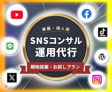 全SNS運用代行コンサルタント承ります 売上を創る「まるっとお任せSNS運営」