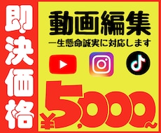 元TV番組制作者が動画編集 承ります YouTube・縦型動画も見やすいテロップでずーっと見ちゃう