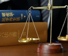 若手弁護士（士業）の売上を向上させます イメージ1
