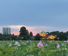 東京旅行の不安を現地目線で解決します 渋谷勤務＆ディズニー好き大学生が東京旅行をサポート！