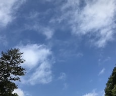 お子さんの困りごとについてのお話なんでも聞きます イメージ1
