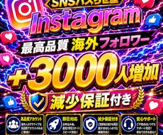 Instagram海外フォロワー増やします イメージ1