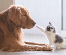 不倫や不倫うつに関する悩み相談をうけます イメージ1