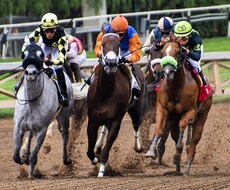 競馬予想！お好きな重賞のデータを作成します