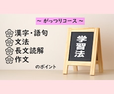 国語の学習方法についてアドバイスいたします 漢字、文法、長文読解……国語学習に苦戦中の方へ