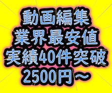 大好評★納品実績あり★格安動画編集します YouTube投稿などの動画編集！！