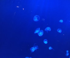 恋愛相談のります 恋愛とはめんどくさいものです。