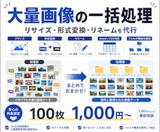 大量の画像を一括リサイズ・形式変換・リネームします イメージ1